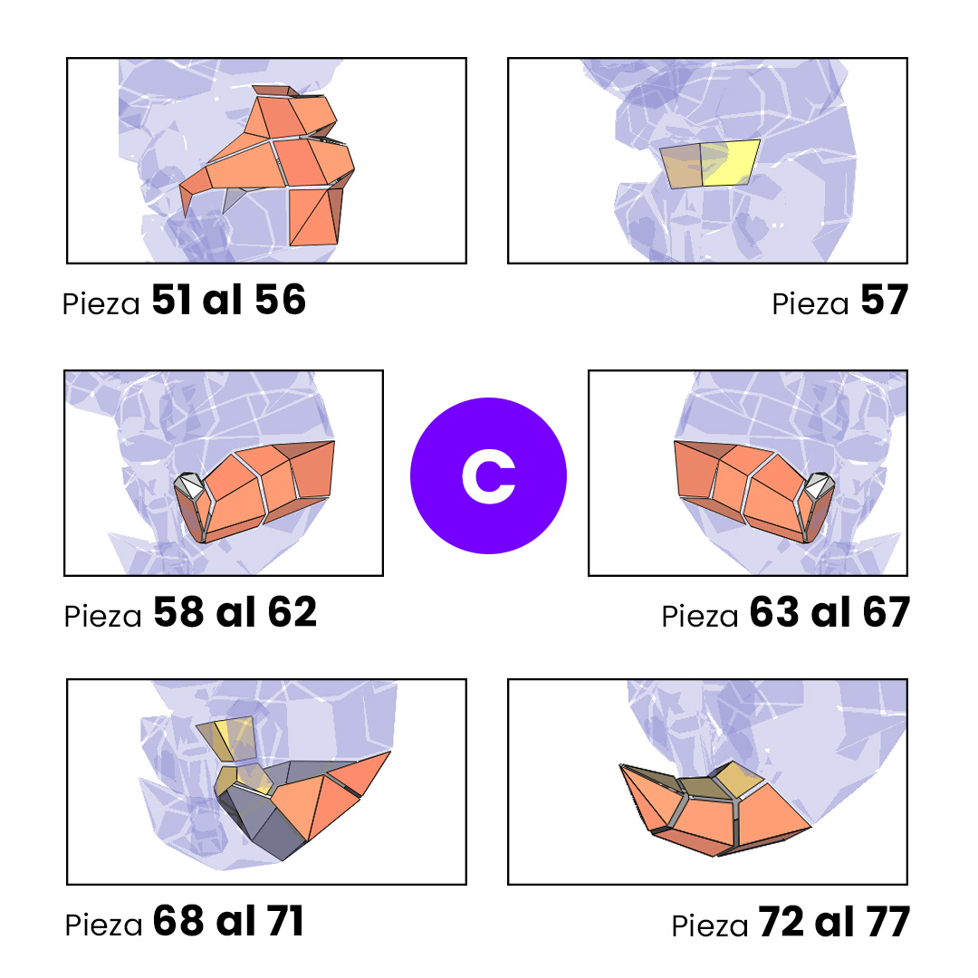 C